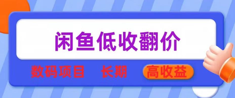 闲鱼低收翻价数码暴利项目，长期高收益【揭秘】-讯领网创