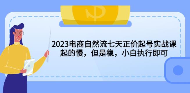 2023电商自然流七天正价起号实战课：起的慢，但是稳，小白执行即可！-讯领网创