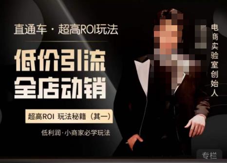 电商冰可乐·直通车·《低价引流·全店动销》，直通车·超高ROI玩法（其一）全店动销必学玩法-讯领网创