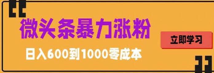 微头条暴力涨粉技巧搬运文案就能涨几万粉丝，简单0成本，日赚600【揭秘】-讯领网创
