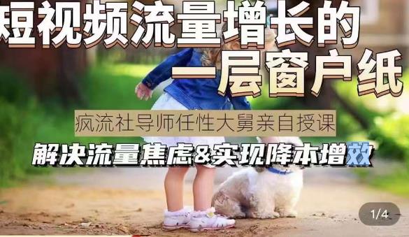 任性大舅·宠物行业短视频运营课(不讲废话)，短视频流量增长的一层窗户纸，解决流量焦虑&实现降本增效-讯领网创
