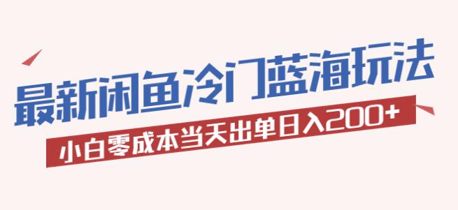 2023最新闲鱼冷门蓝海玩法，小白零成本当天出单日入200+【揭秘】-讯领网创