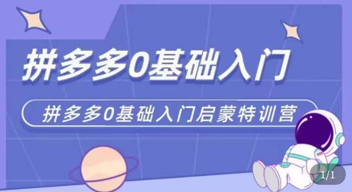 拼多多运营0-1实操特训营，拼多多0基础入门，从基础到进阶的可实操玩法-讯领网创
