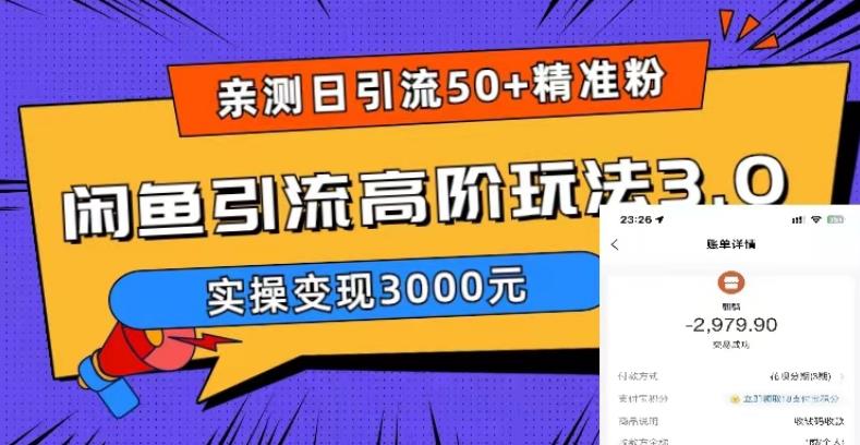 亲测日引50+精准粉，闲鱼引流高阶玩法3.0，实操变现3000元【揭秘】-讯领网创