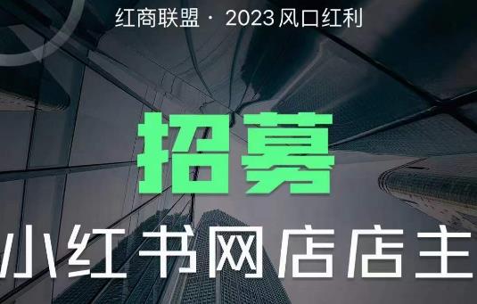红商联盟·小红书无货源电商1.0，0粉丝无需囤货，小白也可以轻松上手的无货源项目-讯领网创