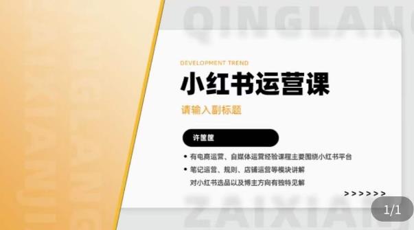 许筐筺·小红书运营课，​笔记运营、规则、店铺运营等模块讲解，学会自己独立运营小红书账号-讯领网创