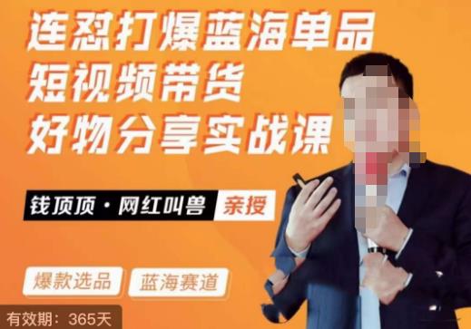 网红叫兽·连怼打爆蓝海单品，短视频带货好物分享实战课-讯领网创