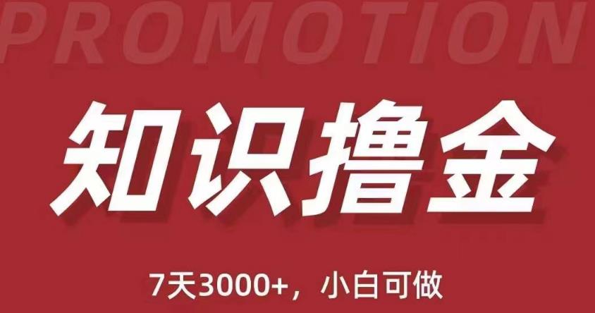 抖音知识撸金项目：简单粗暴日入1000+执行力强当天见收益(教程+资料)-讯领网创