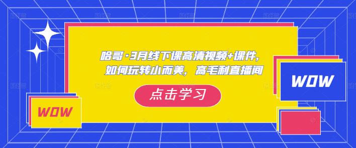 哈哥·3月线下实操课高清视频+课件，如何玩转小而美，高毛利直播间-讯领网创