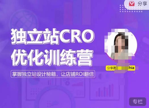 独立站CRO优化训练营，掌握独立站设计秘籍，打造高转化的独立站，让店铺ROI翻倍-讯领网创