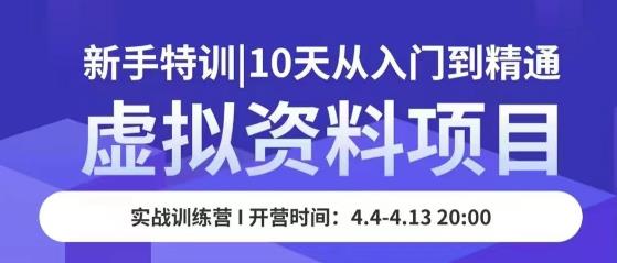 虚拟资料项目新手特训，10天从入门到精通，保姆级实操教学-讯领网创