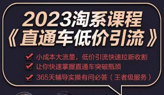2023直通车低价引流玩法课程，小成本大流量，低价引流快速拉新收割，让你快速掌握直通车突破瓶颈-讯领网创