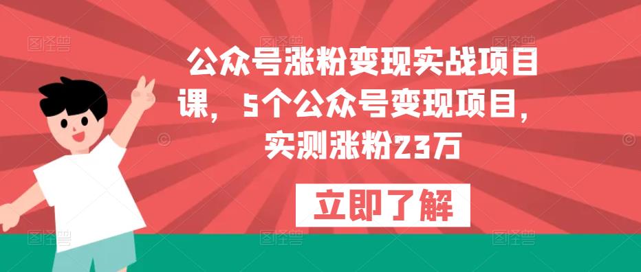 公众号涨粉变现实战项目课，5个公众号变现项目，实测涨粉23万-讯领网创