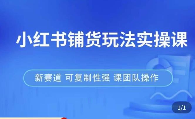 小红书铺货玩法实操课，流量大，竞争小，非常好做，新赛道，可复制性强，可团队操作-讯领网创