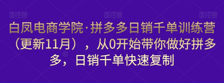 白凤电商学院·拼多多日销千单训练营，从0开始带你做好拼多多，日销千单快速复制（更新知2023年3月）-讯领网创