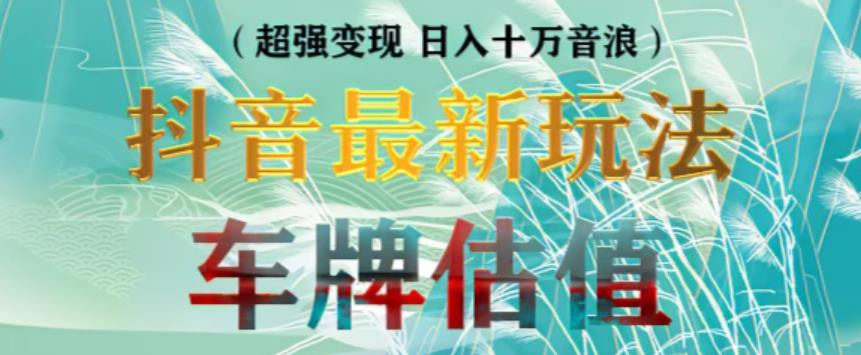 抖音最新无人直播变现直播车牌估值玩法项目，轻松日赚几百+【详细玩法教程】-讯领网创