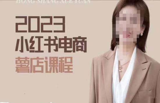 2023小红书电商课，新手小白从0~1玩转小红书薯店电商-讯领网创