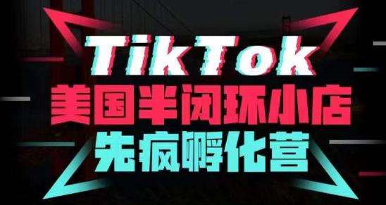 疯人院·TikTok美国半闭环小店孵化营，抢占TikTok美国蓝海市场，开店、运营、带货、投流全实操-讯领网创