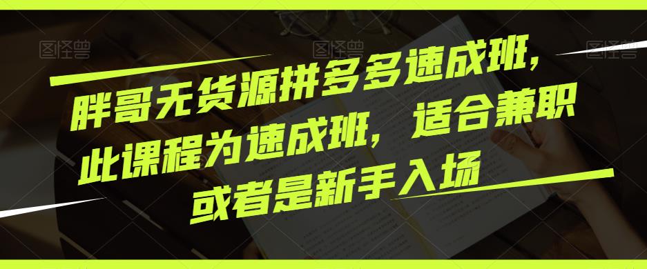 胖哥无货源拼多多速成班，此课程为速成班，适合兼职或者是新手入场-讯领网创