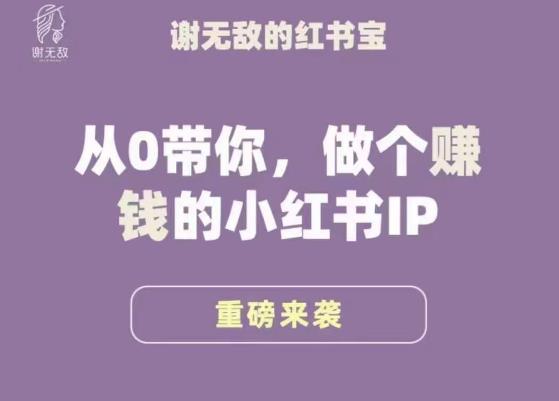 谢无敌·小红书运营大宝典，从0带你做个赚钱的小红书IP-讯领网创