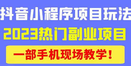 抖音小程序9.0新技巧，2023热门副业项目，动动手指轻松变现-讯领网创