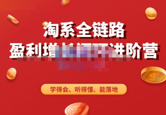 淘系全链路盈利增长闭环进阶营，融合全店动销，学得会、听得懂、能落地！-讯领网创