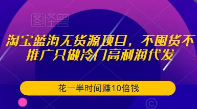 淘宝蓝海无货源项目，不囤货不推广只做冷门高利润代发，花一半时间赚10倍钱-讯领网创