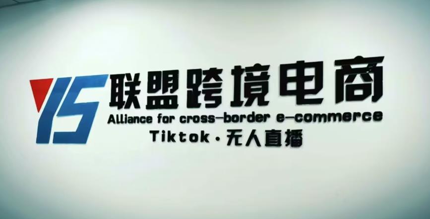 YS联盟·Tiktok无人直播，不出镜不剪辑不拍摄不发货无售后的跨境短视频躺赚玩法-讯领网创