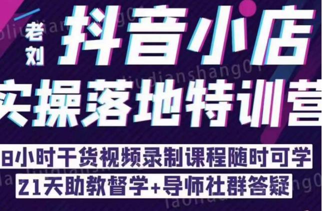 抖音小店实操落地特训营：抖音小店无货源精细化运营，抖店商品卡流量（22节）-讯领网创