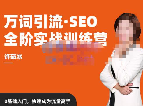 许茹冰·万词引流-SEO全阶实战训练营，0基础入门，快速成为流量高手-讯领网创
