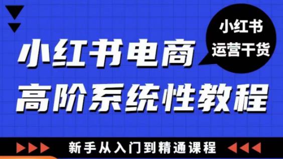 小红书电商高阶系统教程，新手从入门到精通系统课-讯领网创