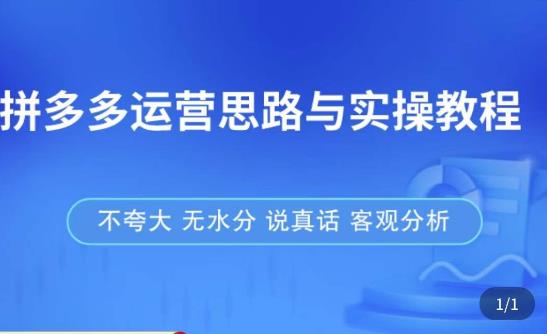 拼多多店铺运营思路与实操教程，快速学会拼多多开店和运营，少踩坑，多盈利-讯领网创