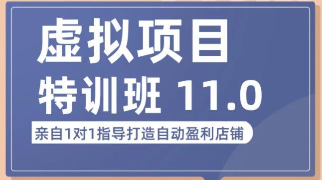 陆明明·虚拟项目特训班（10.0+11.0），0成本获取虚拟素材，0基础打造自动盈利店铺-讯领网创