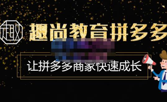 趣尚教育·拼多多运营实操VIP特训营，让拼多多商家快速成长-价值3180元-讯领网创