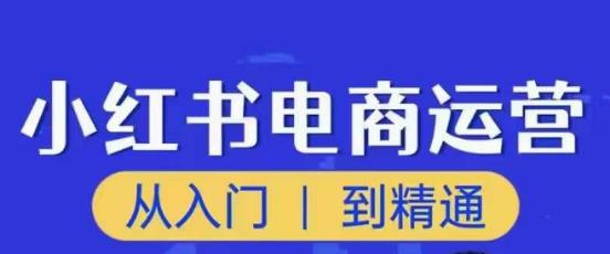 顽石小红书电商高阶运营课程，从入门到精通，玩法流程持续更新-讯领网创