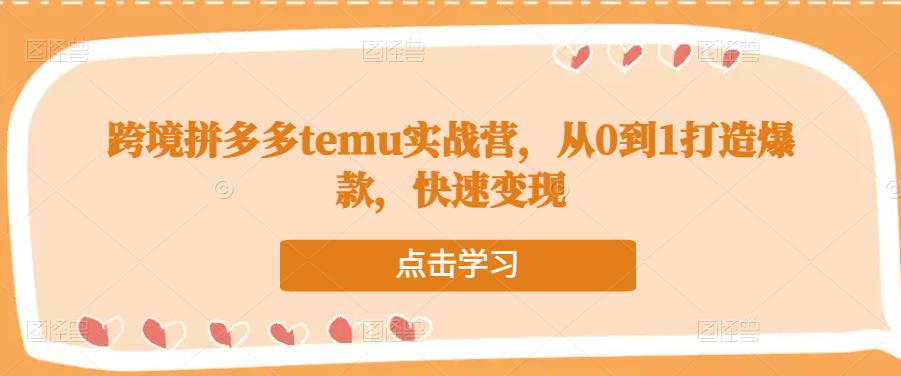 跨境拼多多temu实战营，从0到1打造爆款，快速变现-讯领网创