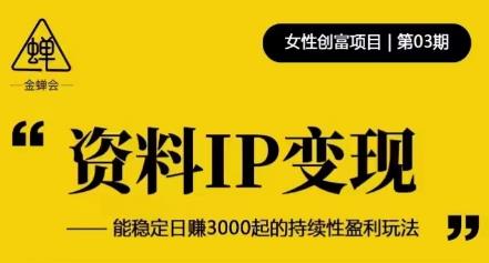 资料IP变现，能稳定日赚3000起的持续性盈利玩法-讯领网创