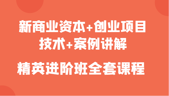 新商业资本+创业项目，技术+案例讲解，精英进阶班全套课程-讯领网创