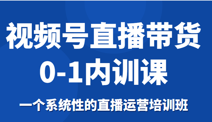 视频号直播带货0-1内训课，一个系统性的直播运营培训班-讯领网创