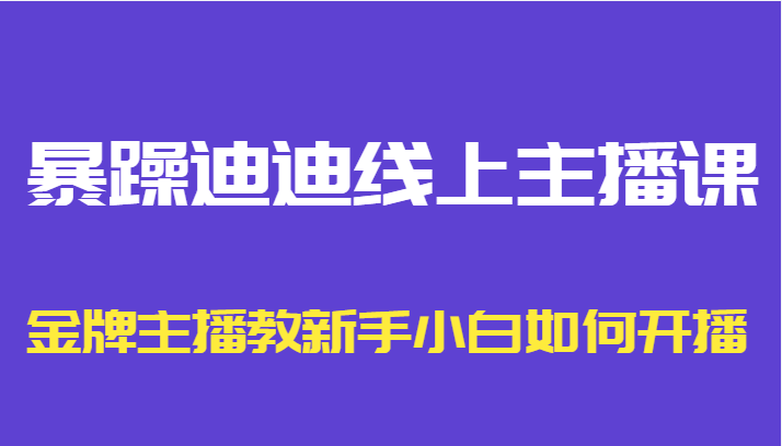 暴躁迪迪线上主播课，金牌主播教新手小白如何开播-讯领网创