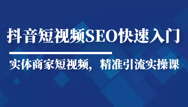 抖音短视频Seo搜索排名优化新手快速入门教程，实体商家短视频，精准引流实操课-讯领网创