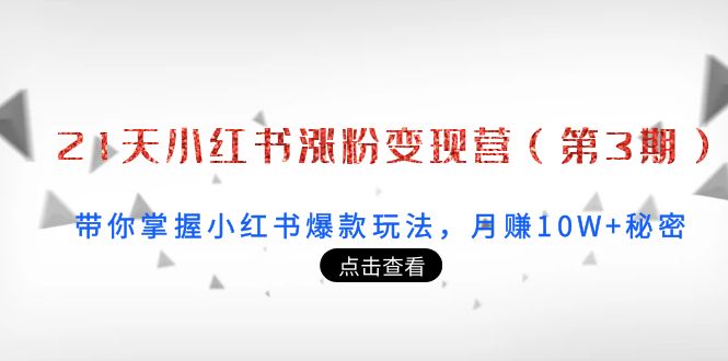 21天小红书涨粉变现营：带你掌握小红书爆款玩法，月赚10W+秘密-讯领网创