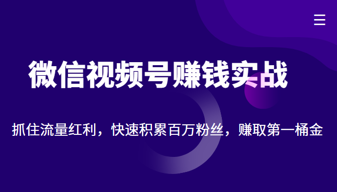 微信视频号赚钱实战：抓住流量红利，快速积累百万粉丝，赚取你的第一桶金-讯领网创