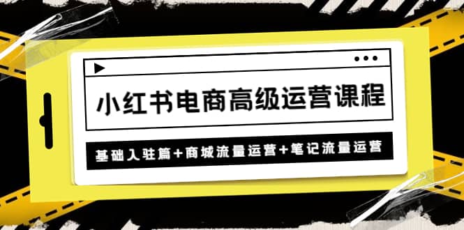 小红书电商高级运营课程：基础入驻篇+商城流量运营+笔记流量运营-讯领网创