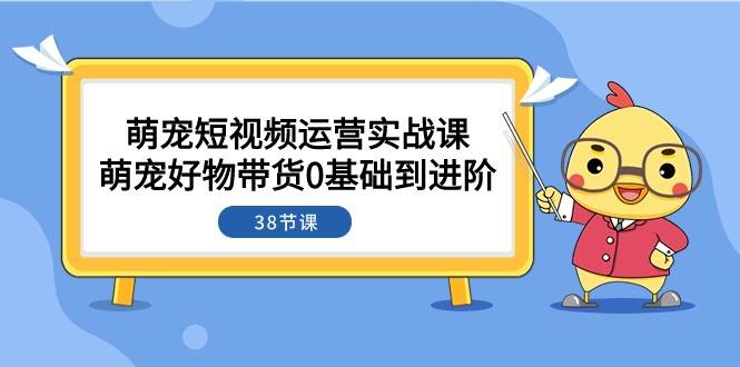 萌宠·短视频运营实战课：萌宠好物带货0基础到进阶（38节课）-讯领网创