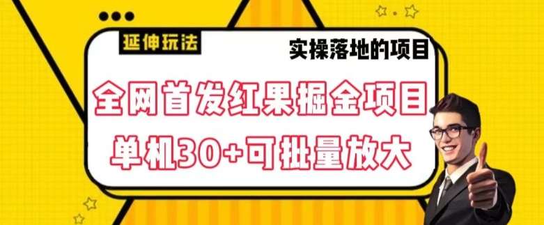 全网首发红果免费短剧掘金项目，单机30+可批量放大【揭秘】-讯领网创