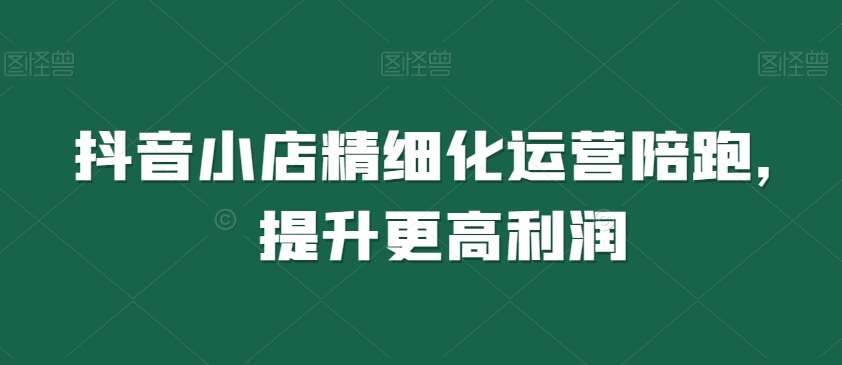 抖音小店精细化运营陪跑，提升更高利润-讯领网创