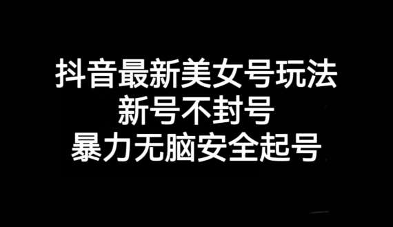 抖音最新美女号玩法，新号不封号，暴力无脑安全起号【揭秘】-讯领网创