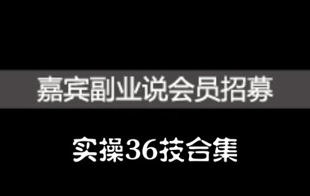 嘉宾副业说实操36技合集，价值1380元-讯领网创