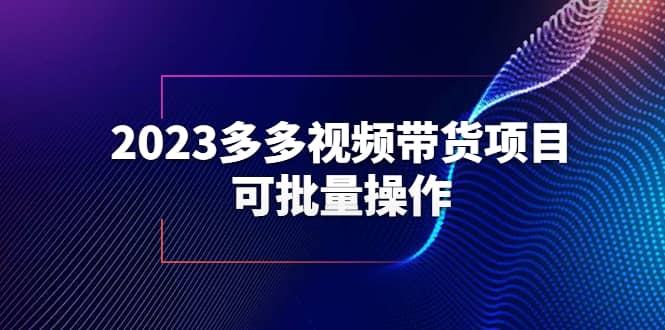 2023多多视频带货项目，可批量操作【保姆级教学】-讯领网创